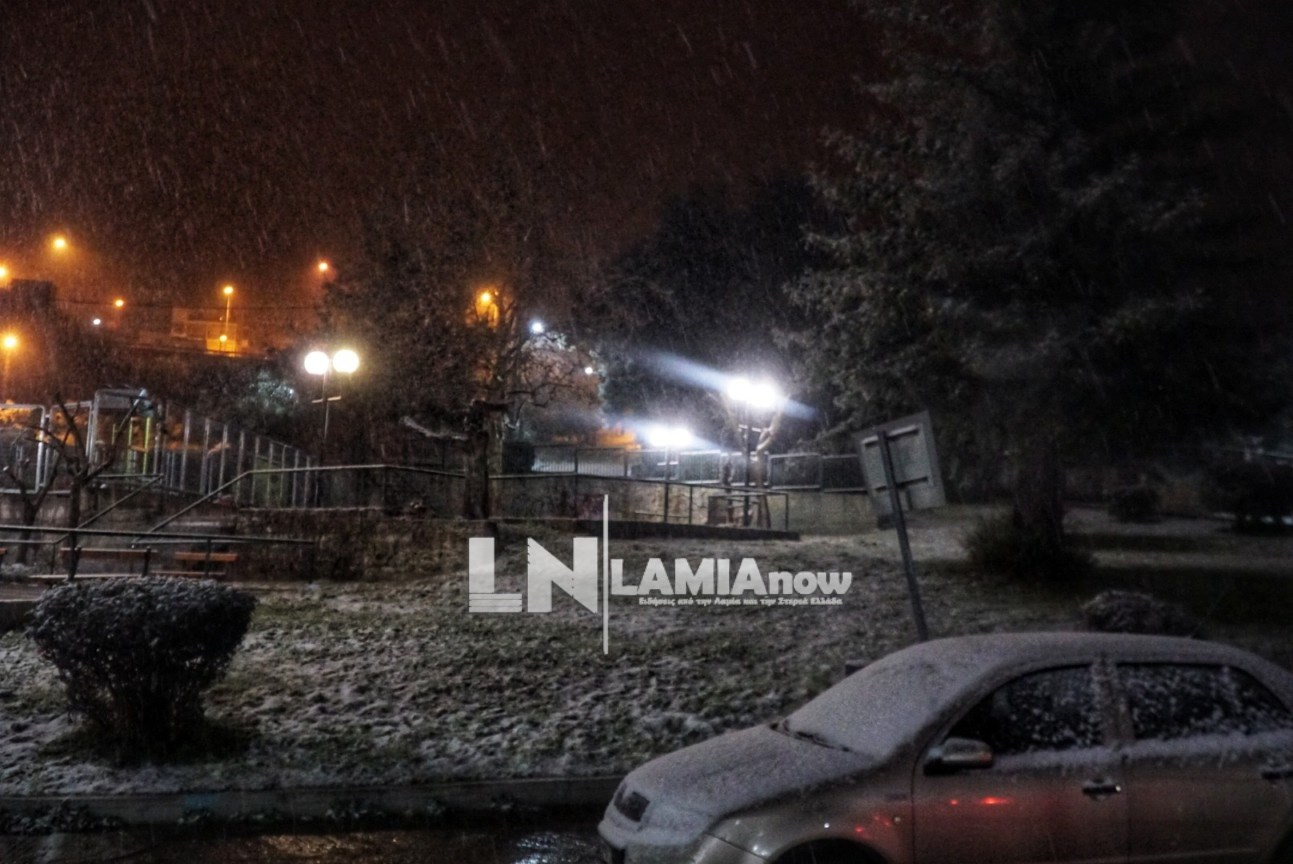 Έντονη χιονόπτωση στη Φθιώτιδα: Ολονύχτια μάχη για να κρατηθούν ανοιχτοί οι δρόμοι- ΦΩΤΟ – ΒΙΝΤΕΟ