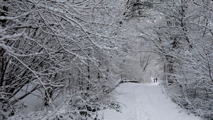 Κακοκαιρία “Μήδεια”: Στα λευκά η χώρα – Χιονίζει στα βόρεια προάστια της Αθήνας – ΦΩΤΟ – ΒΙΝΤΕΟ