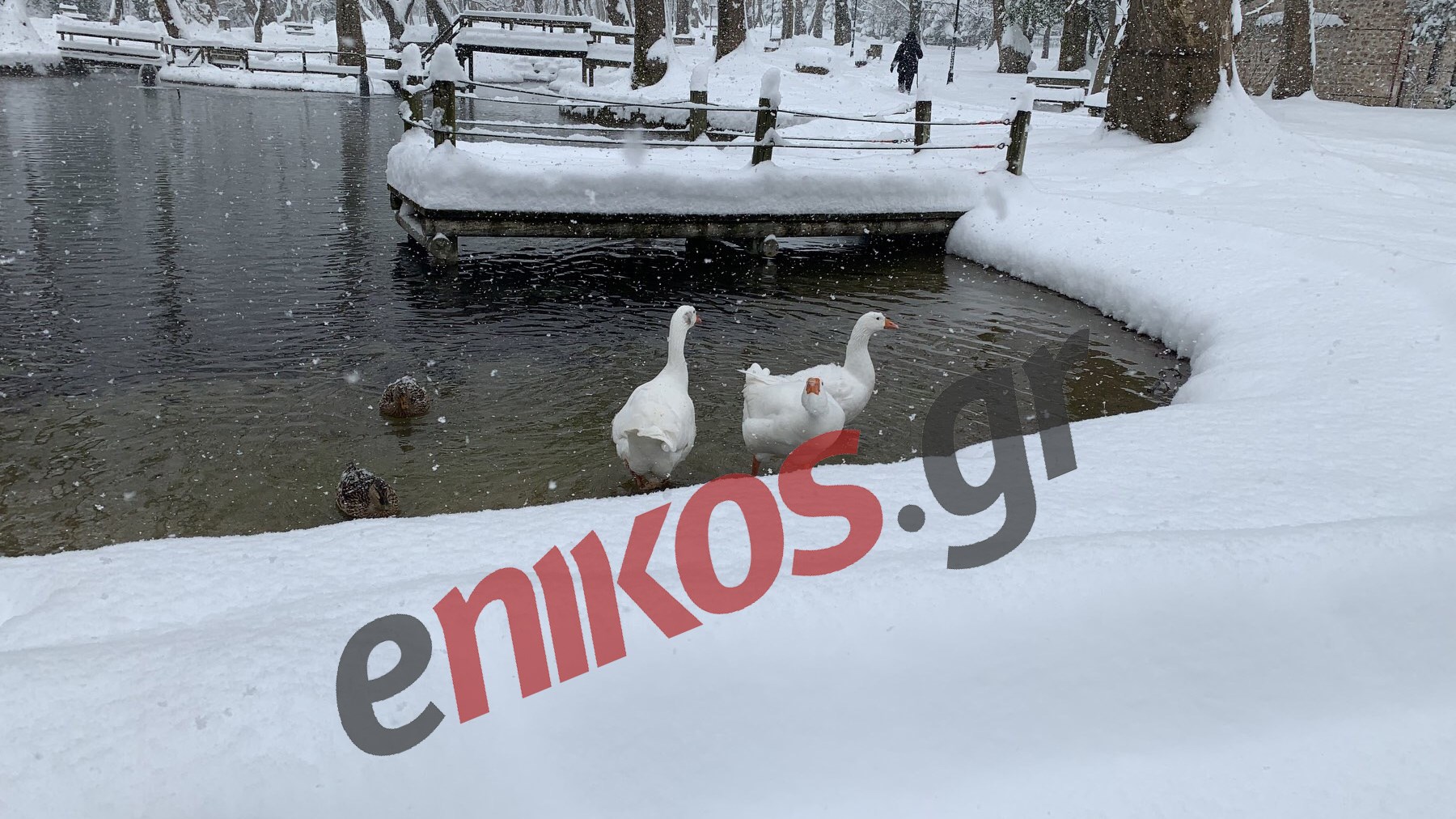 Κακοκαιρία “Μήδεια”: Μαγευτικό το τοπίο στη Νάουσα – ΦΩΤΟ αναγνώστη