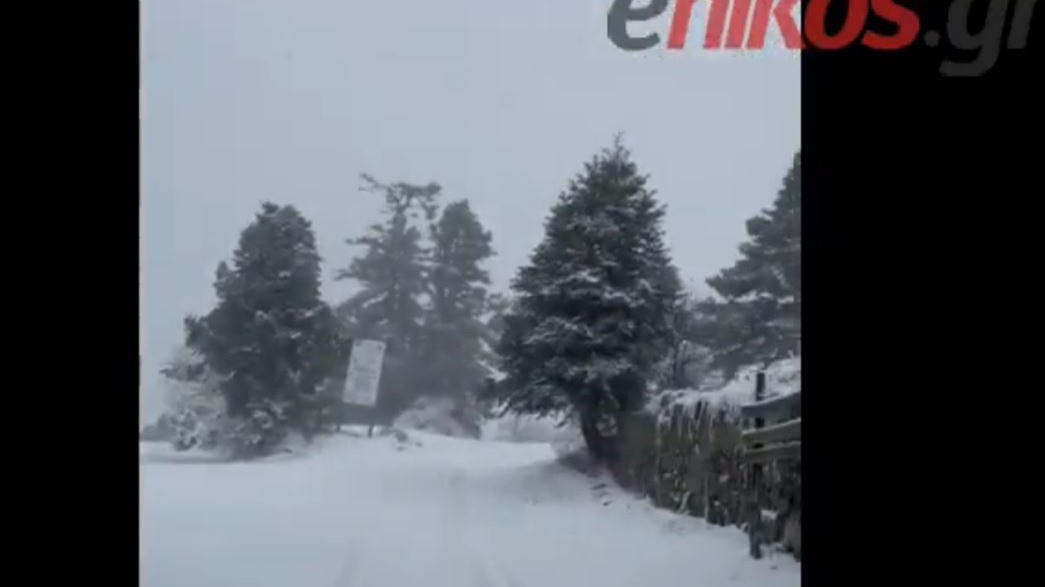 Κακοκαιρία “Μήδεια”: Παραμυθένιο σκηνικό στα Σέτα Ευβοίας – ΒΙΝΤΕΟ αναγνώστη