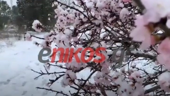 Κακοκαιρία “Μήδεια”: Στους -20 η χαμηλότερη θερμοκρασία – Πού καταγράφηκε