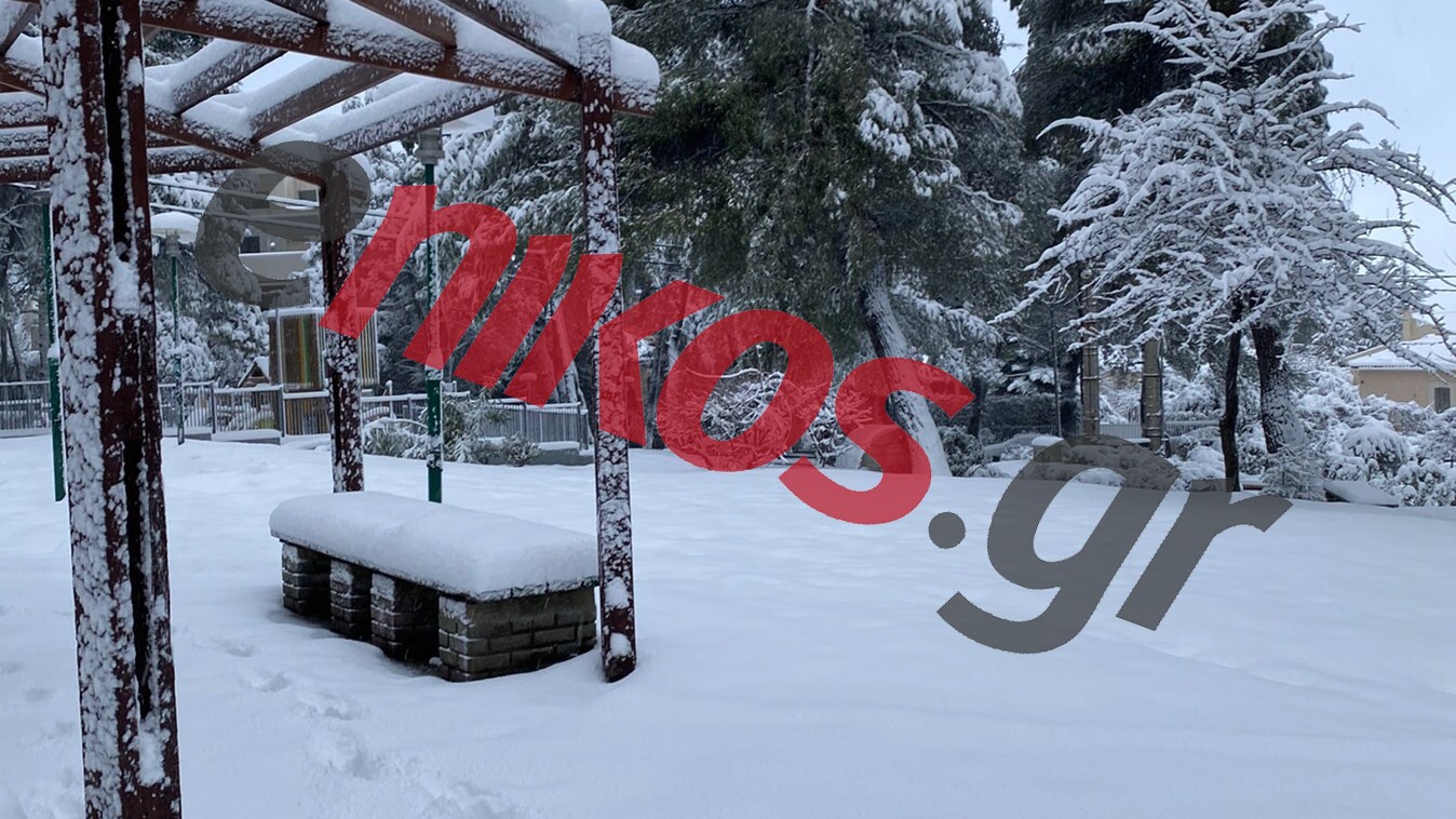 Κακοκαιρία “Μήδεια”: Σε κλοιό χιονιά Διόνυσος και Άγιος Στέφανος – ΦΩΤΟ αναγνωστών