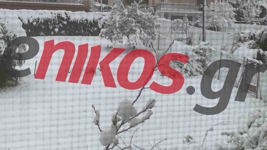 Κακοκαιρία “Μήδεια”: Πυκνό χιόνι στο Δήλεσι – ΦΩΤΟ αναγνώστη