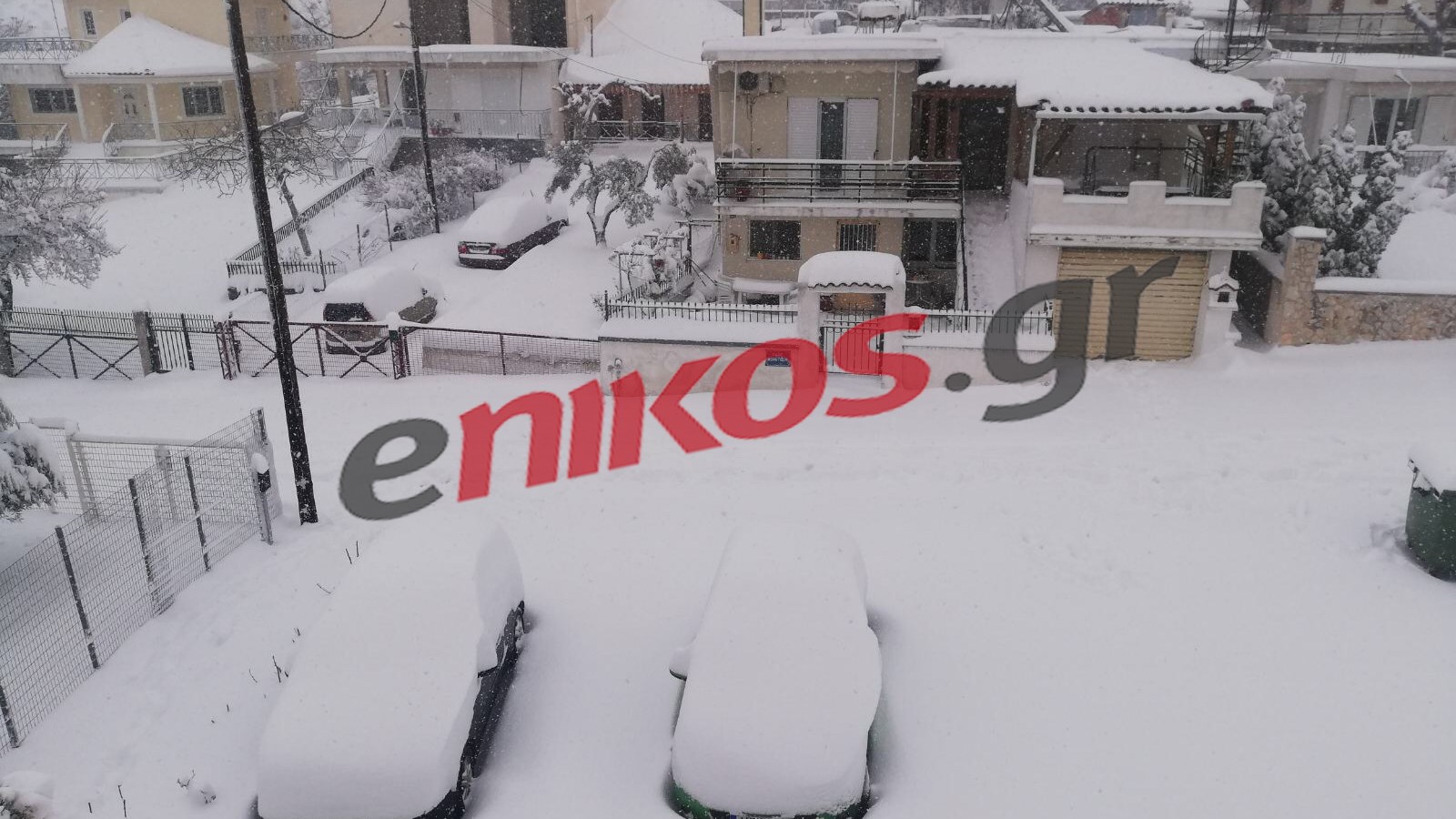 Κακοκαιρία “Μήδεια”: Το χιόνι κάλυψε τα πάντα στη Θήβα – ΦΩΤΟ αναγνώστη