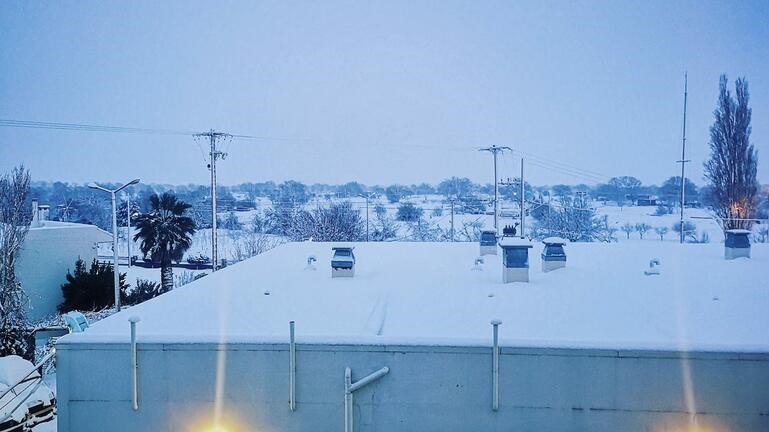 Κρήτη: Νεκρός 56χρονος κτηνοτρόφος στο ποιμνιοστάσιο του