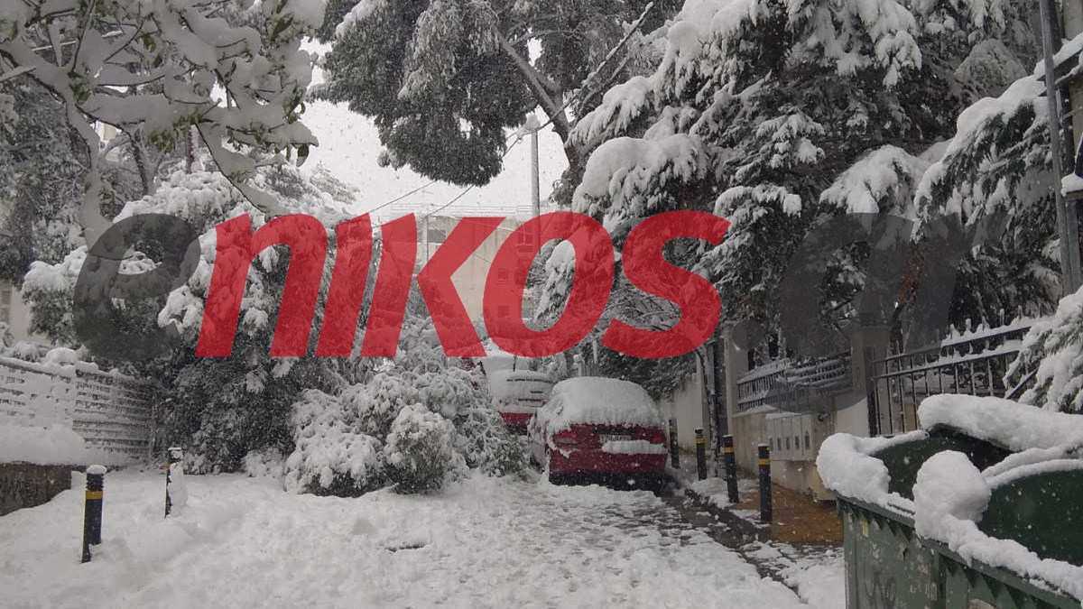 Κακοκαιρία “Μήδεια”: Έπεσαν δέντρα σε Αγία Παρασκευή και Αμπελόκηπους – ΦΩΤΟ αναγνωστών