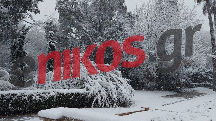 “Μήδεια”: Χωρίς ρεύμα 250.000 νοικοκυριά – Πού εντοπίζονται τα μεγαλύτερα προβλήματα