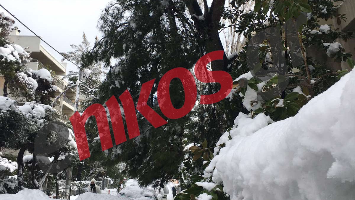 Πολύ χιόνι στα δρομάκια της Αγίας Παρασκευής – ΦΩΤΟ αναγνώστη