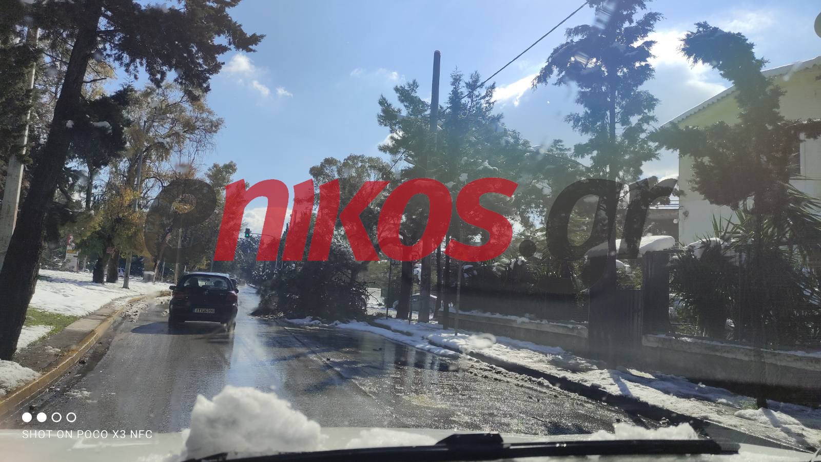 Κακοκαιρία “Μήδεια”: Έπεσε δέντρο στην Καποδιστρίου – ΦΩΤΟ αναγνώστη