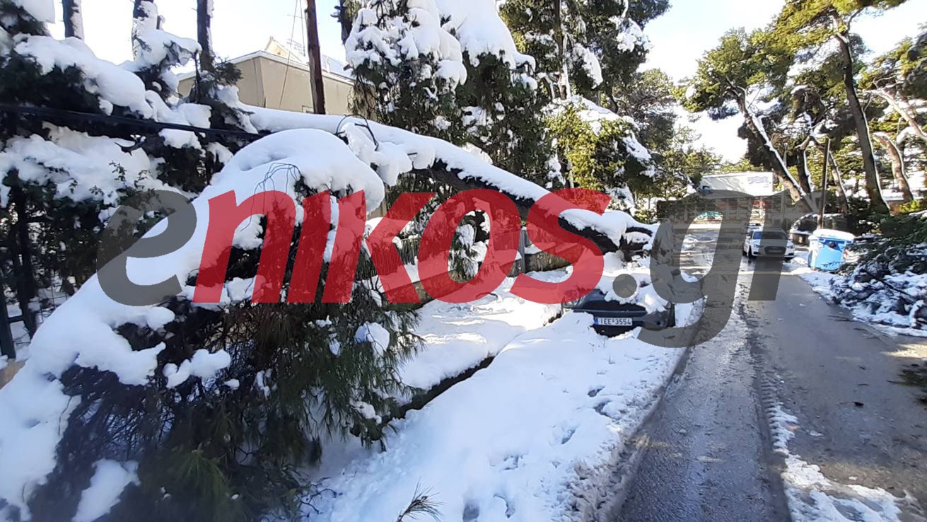 Κακοκαιρία “Μήδεια”: Δύο μέρες χωρίς ρεύμα στο Καστρί – Καλώδια μέσα στο χιόνι – ΦΩΤΟ αναγνώστη