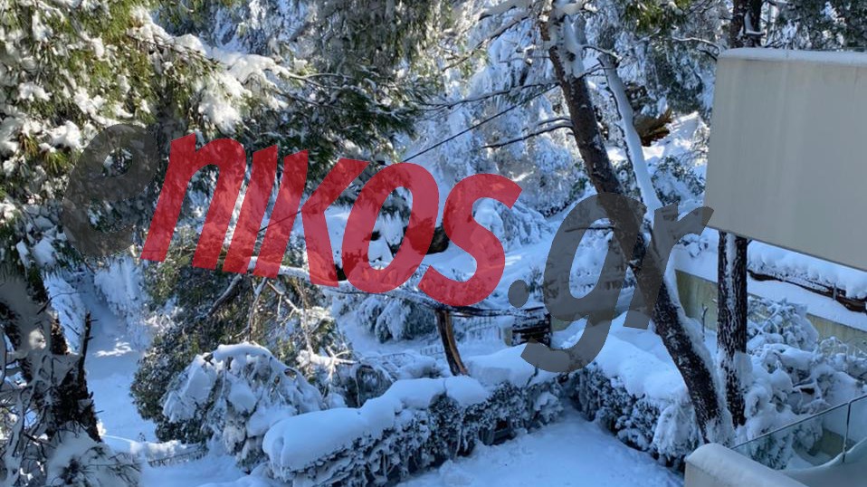 “Μήδεια”: Οικογένειες στον Διόνυσο παραμένουν χωρίς ρεύμα – Η έκκληση για βοήθεια – ΦΩΤΟ αναγνώστη