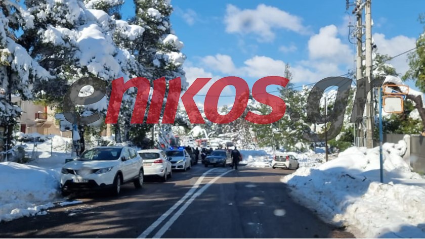 Κακοκαιρία “Μήδεια”: “Λύγισαν” τα δέντρα στον Διόνυσο από το χιόνι – ΦΩΤΟ αναγνώστη