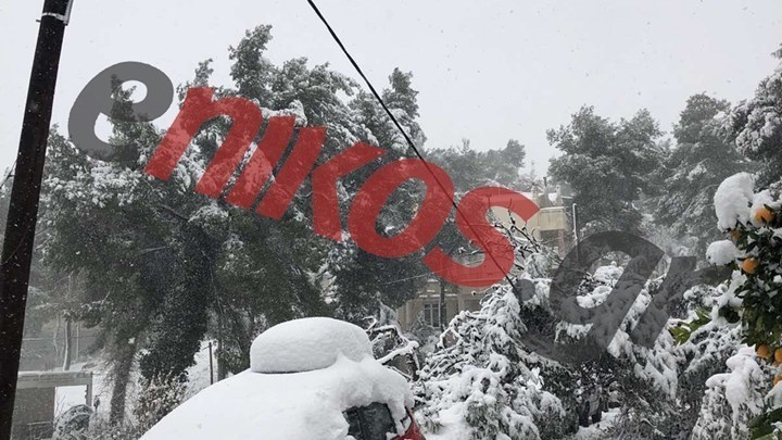 “Μήδεια”: Δωρεάν τα τέλη δικτύου διανομής για τα νοικοκυριά που έμειναν χωρίς ρεύμα – Τι εξετάζει η ΔΕΗ