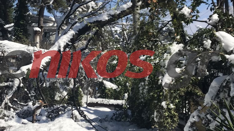 “Μήδεια”: 7.000 τα νοικοκυριά χωρίς ρεύμα – Η ανακοίνωση του ΔΕΔΔΗΕ