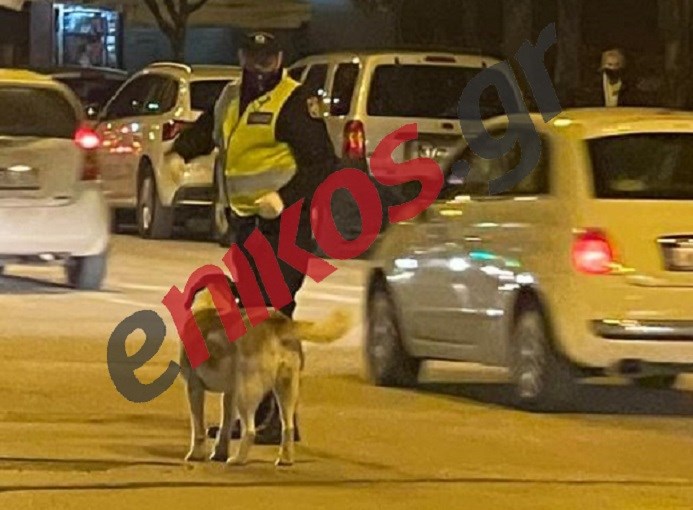 Σκύλος σε ρόλο… τροχονόμου στα Ιωάννινα – ΦΩΤΟ & ΒΙΝΤΕΟ αναγνώστη