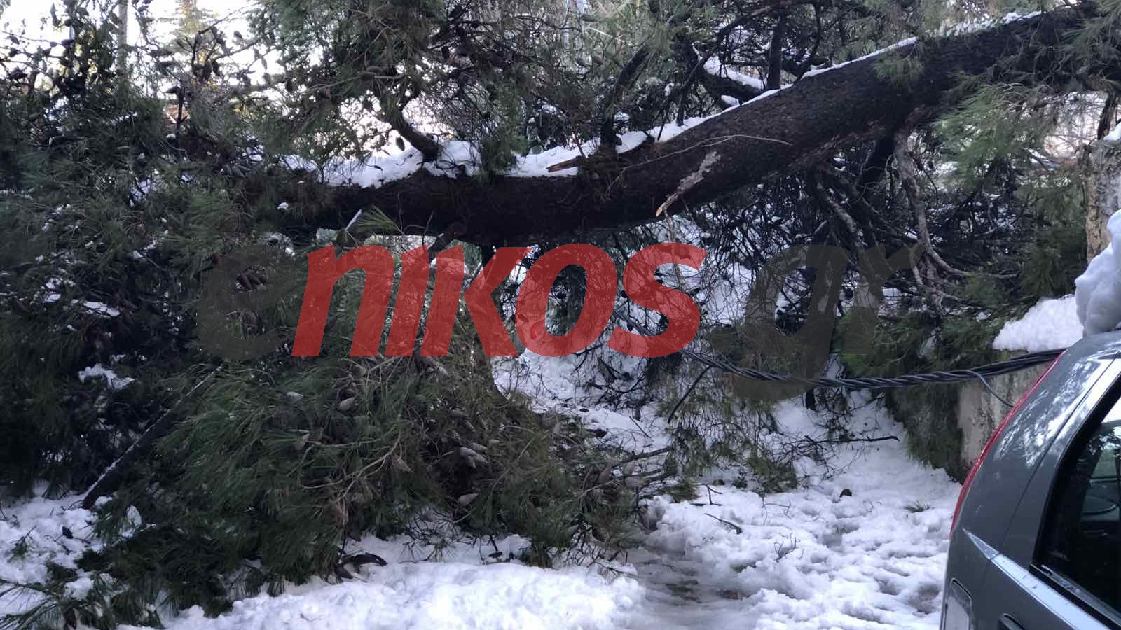 ΔΕΔΔΗΕ: Αφαιρείται η χρέωση Δικτύου Διανομής για τους πληγέντες της “Μήδειας” – Τι ανακοινώθηκε