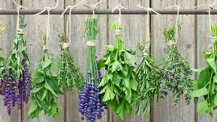 Διάσημος σεφ πήγε στην Κρήτη εν μέσω lockdown και πλήρωσε… πρόστιμο – Τα βότανα και το ιστιοφόρο