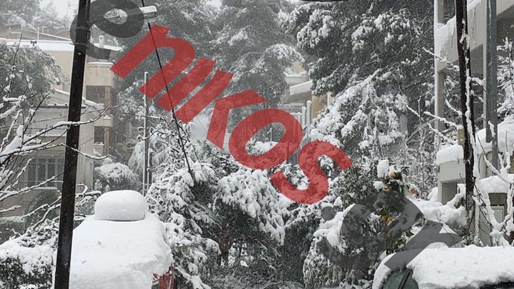 Κακοκαιρία “Μήδεια”: Γιατί έπεσαν τόσα δέντρα – Η εξήγηση του Αστεροσκοπείου