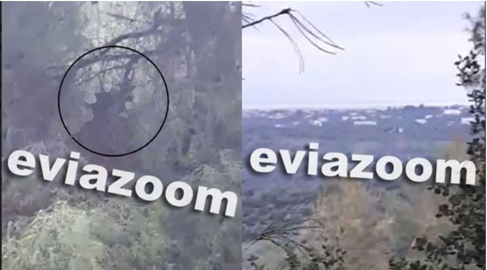 Εύβοια: Συνεχίζεται το θρίλερ με τον άνδρα που βρέθηκε κρεμασμένος – Τι δήλωσε ο κυνηγός που τον εντόπισε