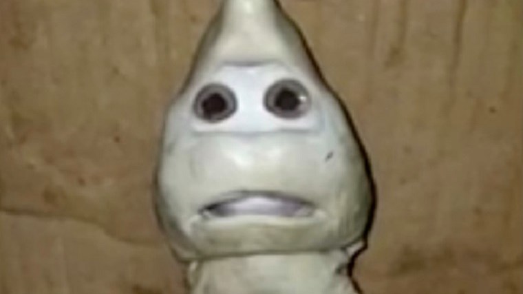Viral το μωρό-καρχαρίας με ανθρώπινο πρόσωπο – ΦΩΤΟ -ΒΙΝΤΕΟ