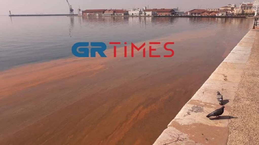 Θεσσαλονίκη: Γιατί ο Θερμαϊκός βάφτηκε “κόκκινος”