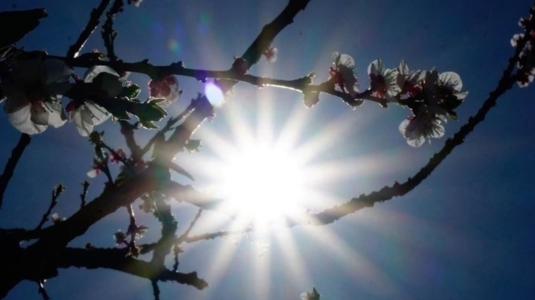 Καιρός: Ζεστός ο φετινός χειμώνας – Θερμότερος μήνας ο Ιανουάριος