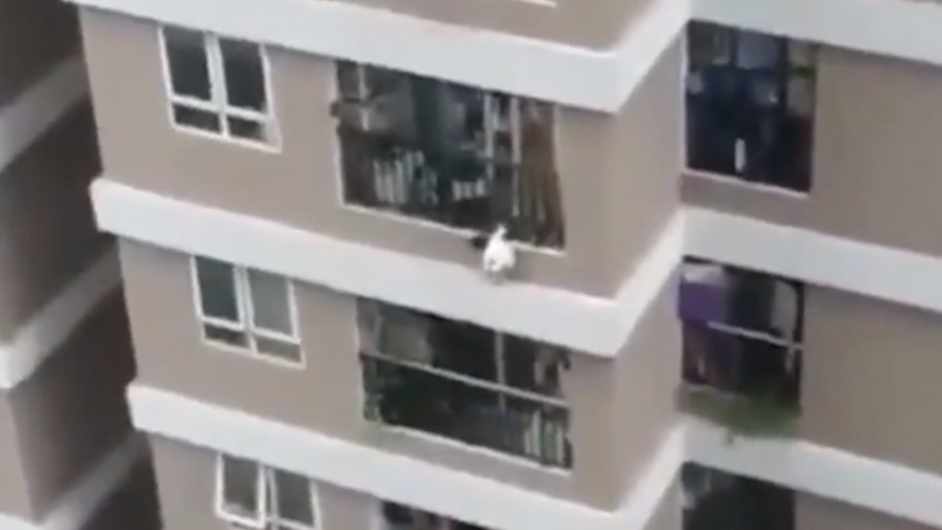 Βιετνάμ: Κοριτσάκι σώθηκε από θαύμα – Έπεσε από τον 12ο όροφο και την έπιασε διανομέας – ΒΙΝΤΕΟ