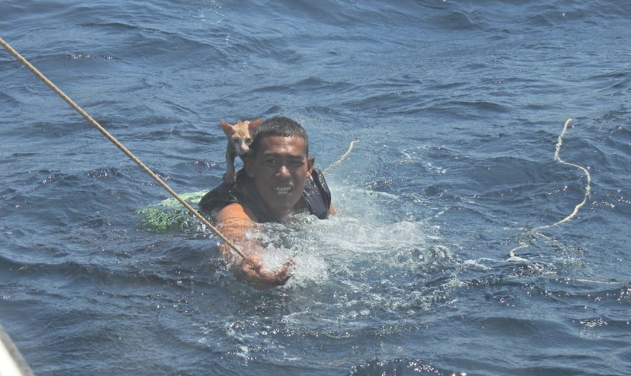 Ταϊλάνδη: Ναύτες του Πολεμικού Ναυτικού κινδύνευσαν για να σώσουν γάτες από βυθιζόμενο πλοίο – ΒΙΝΤΕΟ