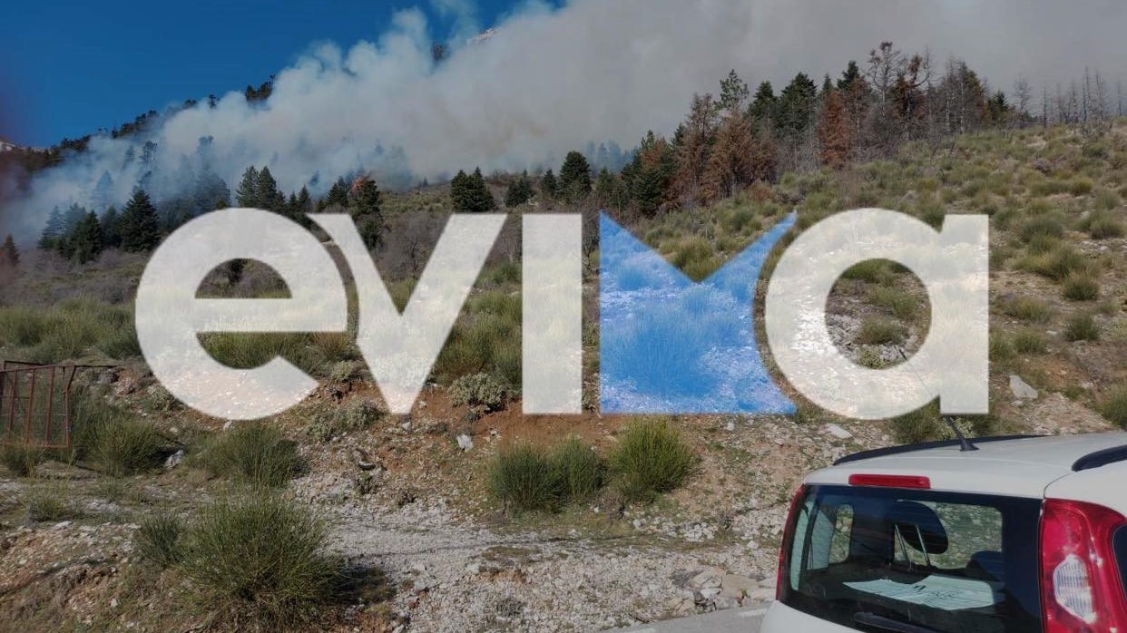 Φωτιά ΤΩΡΑ σε δασική έκταση στο Καρπενήσι