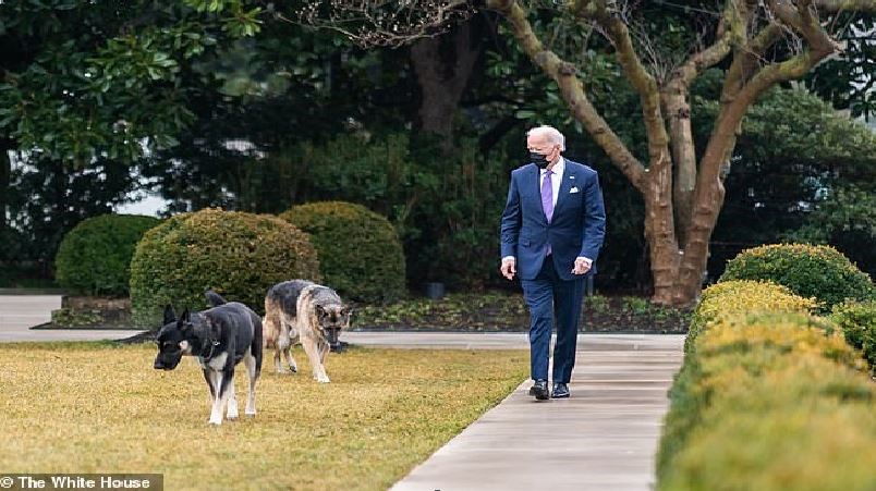 Εκτός Λευκού Οίκου τα σκυλιά του Μπάιντεν: Το ένα δάγκωσε μέλος του προσωπικού ασφαλείας