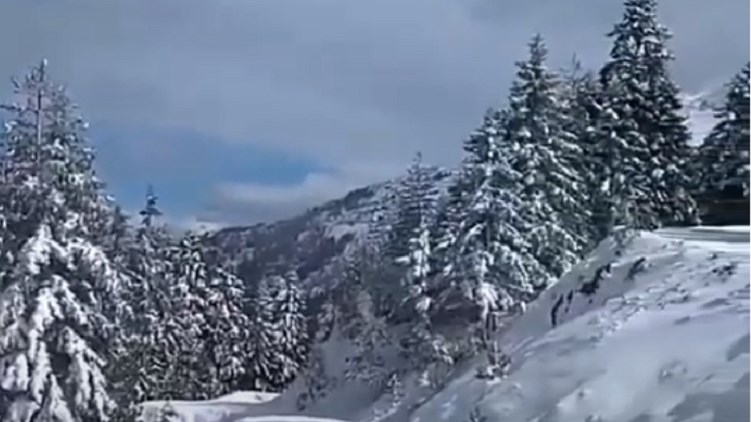 Τρίκαλα: Χριστούγεννα μέσα στον Μάρτιο στην Κιάτρα Μπράτσα