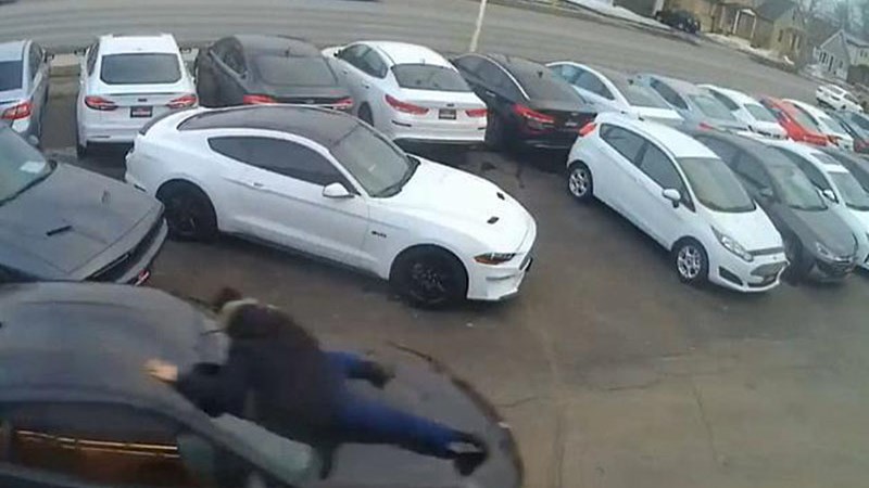 Καναδάς: Πωλητής κρέμεται από το καπό αυτοκινήτου για να εμποδίσει τον κλέφτη να ξεφύγει – ΒΙΝΤΕΟ
