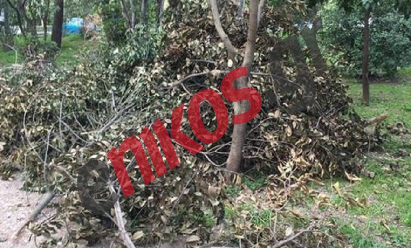 Σπασμένα κλαδιά και κορμοί στον κήπο του Ζαππείου – ΦΩΤΟ αναγνώστη