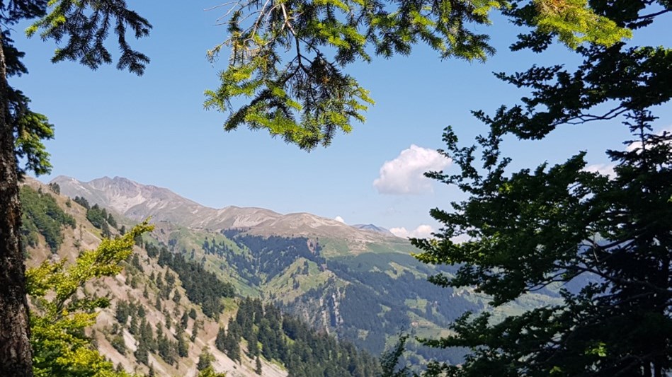 Ανησυχία στα Τρίκαλα: Συρροή κρουσμάτων κορονοϊού σε μεγάλο χωριό