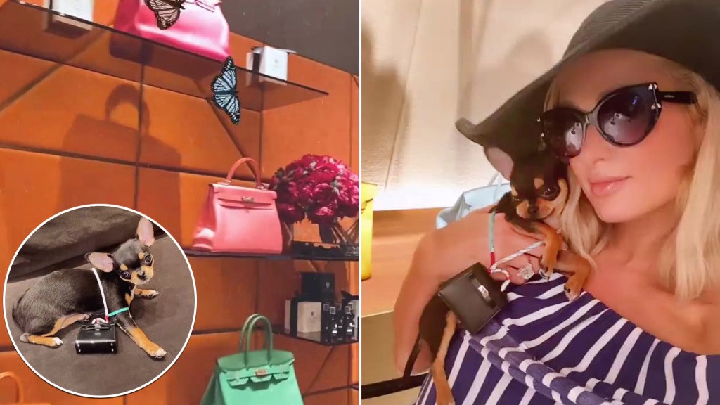 Πάρις Χίλτον: Αγόρασε στον σκύλο της τσάντα Hermès αξίας 5.500 δολαρίων