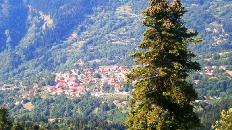 Κορονοϊός: Στουρναραίικα, το χωριό των Τρικάλων με θετικότητα σχεδόν 15% – Τι λέει στο enikos.gr η υπεύθυνη κλιμακίων του ΕΟΔΥ