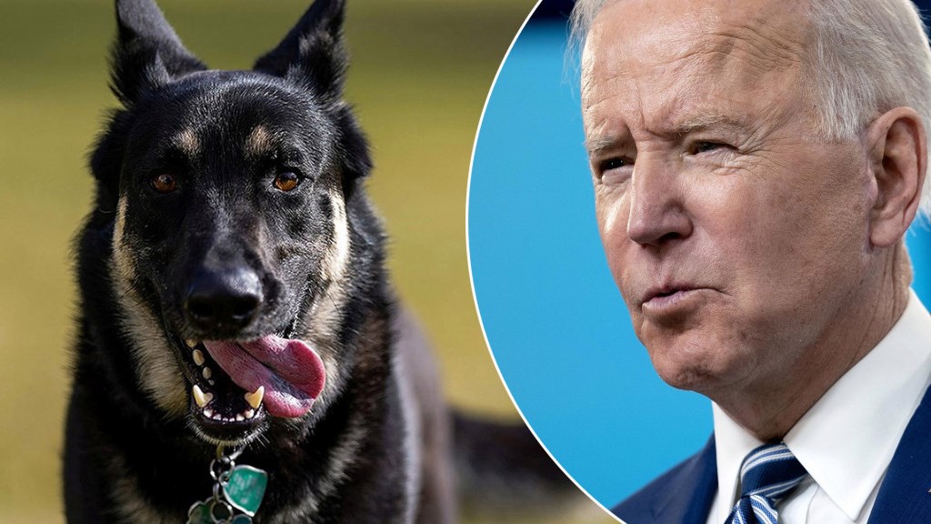 Ο σκύλος του Τζο Μπάιντεν επιτέθηκε και σε άλλον υπάλληλο στον Λευκό Οίκο