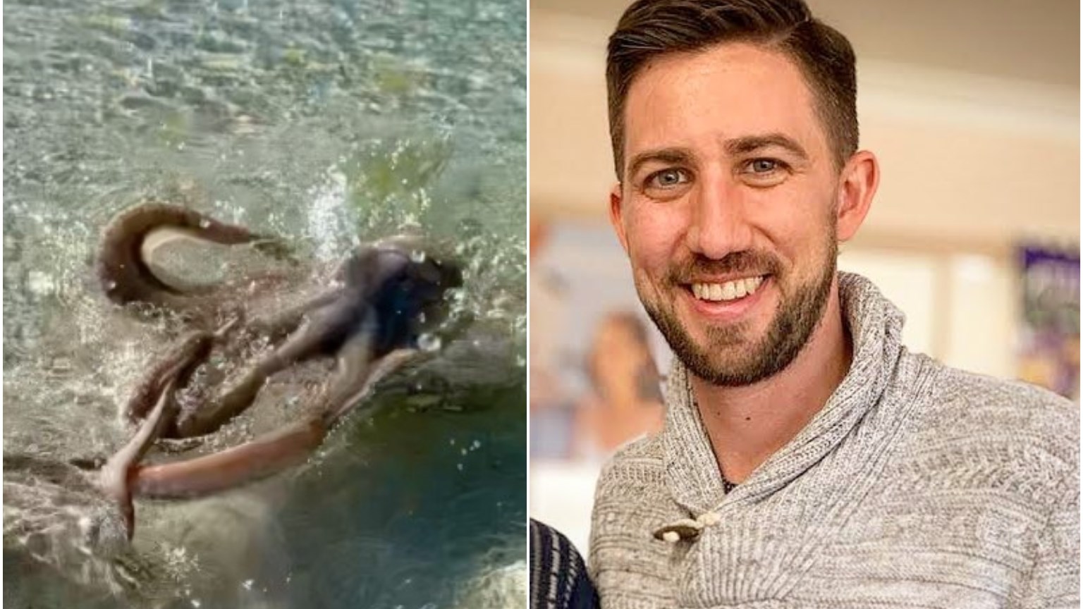 Viral: Θυμωμένο χταπόδι επιτέθηκε σε… ενοχλητικό λουόμενο – ΦΩΤΟ – ΒΙΝΤΕΟ