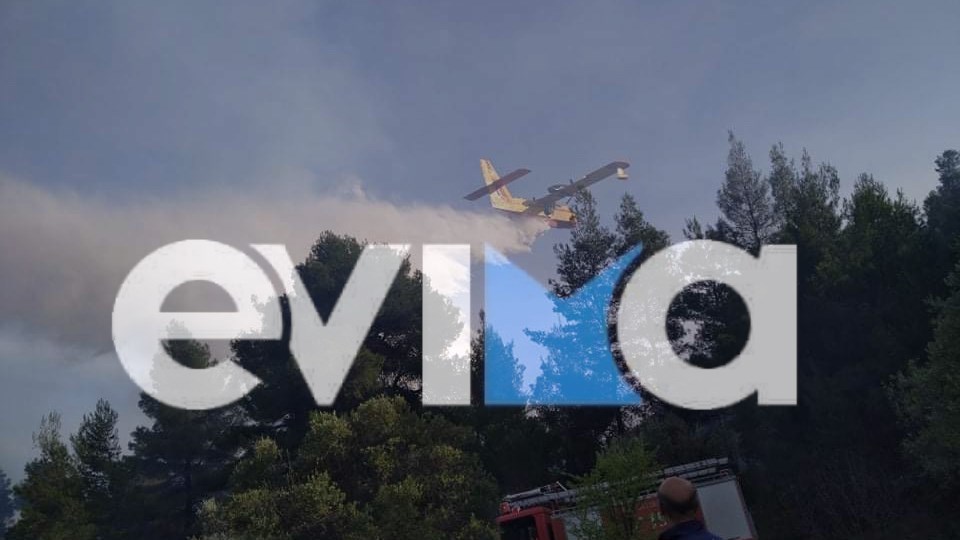 Οι πρώτες εικόνες από τη μεγάλη φωτιά στη Λίμνη Ευβοίας – ΦΩΤΟ – ΒΙΝΤΕΟ