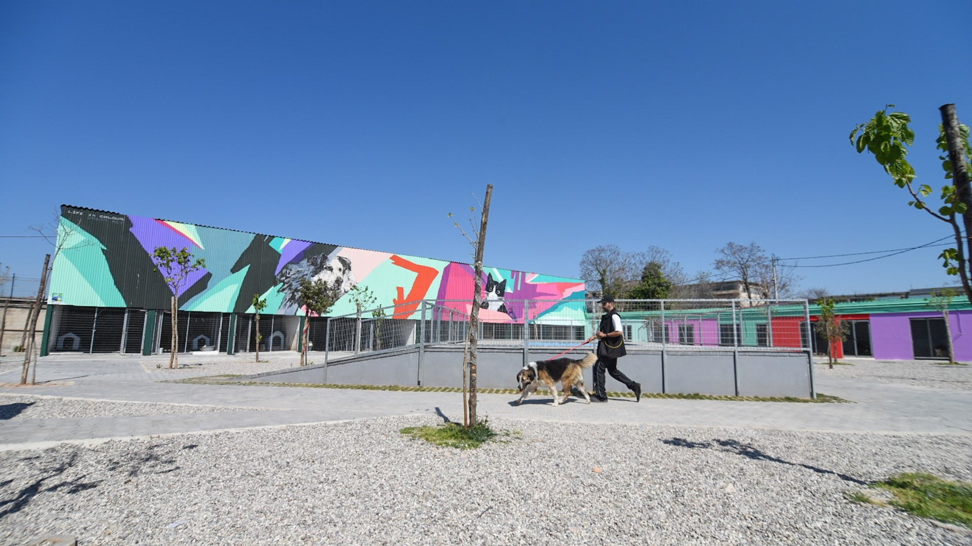 Δήμος Αθηναίων: Έτοιμο το πρώτο σύγχρονο καταφύγιο αδέσποτων ζώων – ΦΩΤΟ