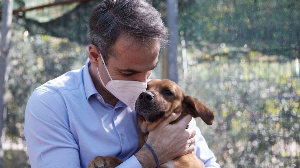 Παγκόσμια Ημέρα Αδέσποτων: Στο καταφύγιο ζώων στην Ηλιούπολη ο Μητσοτάκης – ΦΩΤΟ