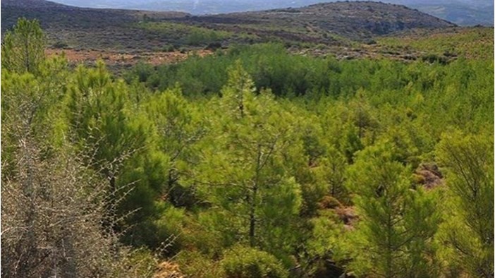 Το σχέδιο για τους δασικούς χάρτες: Πώς θα σωθούν οι ιδιωτικές περιουσίες – Τα επτά ανοιχτά ζητήματα