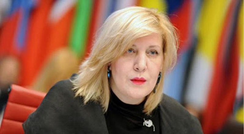 Επίτροπος Ανθρωπίνων Δικαιωμάτων: Να διασφαλιστεί ότι θα λογοδοτήσουν οι δολοφόνοι του Γιώργου Καραϊβάζ