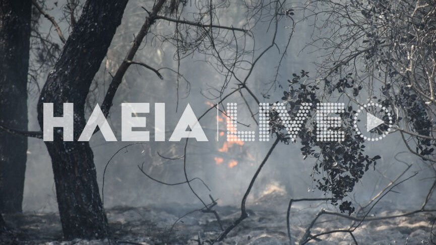 Πυρκαγιά στην Αμαλιάδα – ΦΩΤΟ – ΒΙΝΤΕΟ