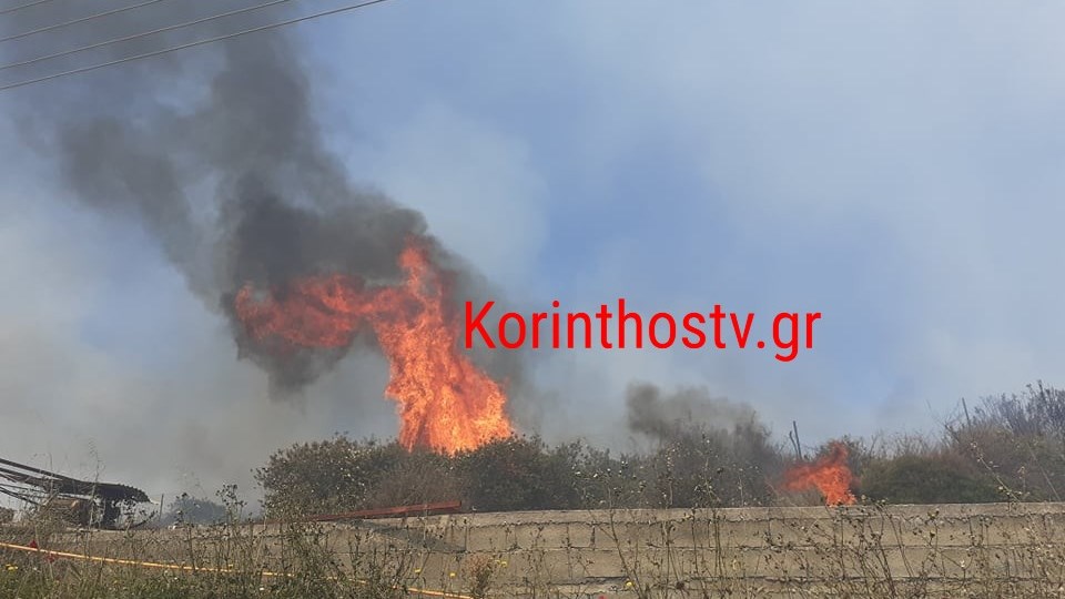 Κορινθία: Φωτιά στο Καλέντζι – ΦΩΤΟ