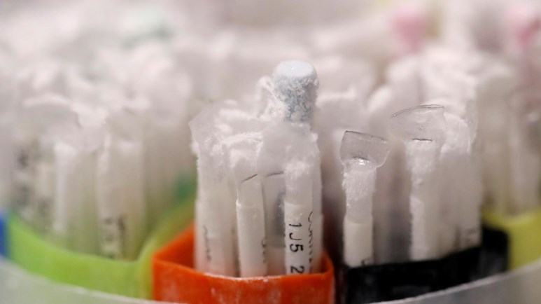 Σουηδία: Έλλειψη στις τράπεζες σπέρματος – Ο κορονοϊός κρατά τους δωρητές μακριά από τις κλινικές