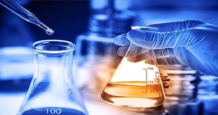 Επιστήμονες δημιούργησαν χιμαιρικά έμβρυα από άνθρωπο και… μαϊμού