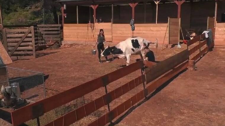 Φάρμα: Το εργατικό «ατύχημα» που προκάλεσε πολύ γέλιο και οι επικές ατάκες – ΦΩΤΟ