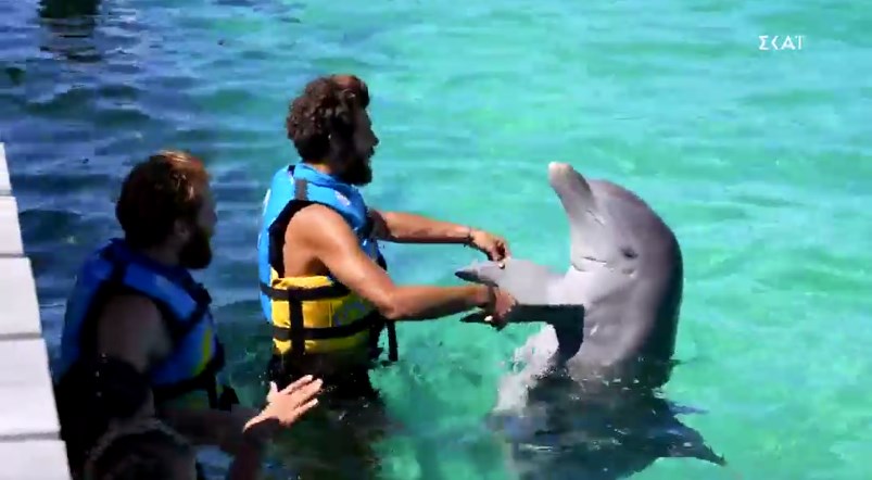Survivor: Εξοργισμένο το Twitter με τα δελφίνια – Το έπαθλο που προκάλεσε αντιδράσεις – ΦΩΤΟ