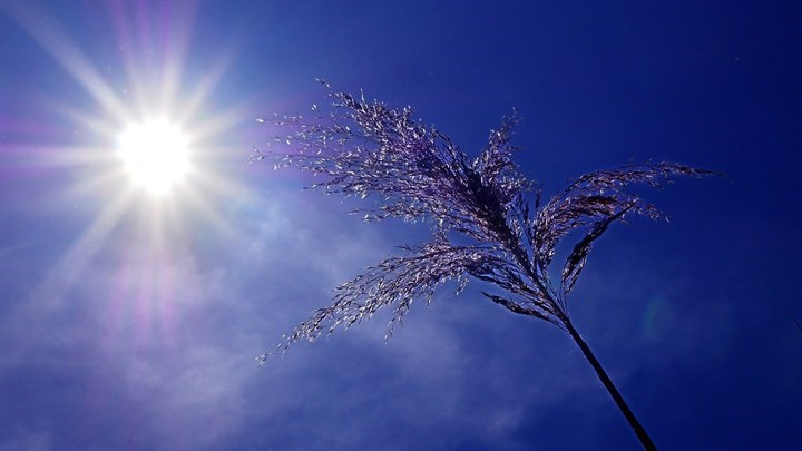 Καιρός: Ηλιοφάνεια και άνοδος της θερμοκρασίας – Η αναλυτική πρόγνωση